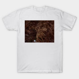 Ferns In Winter T-Shirt